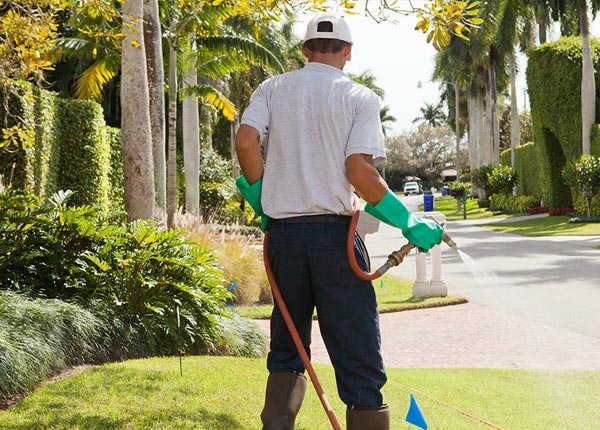 About Lyon Mountain NY Pest Control
